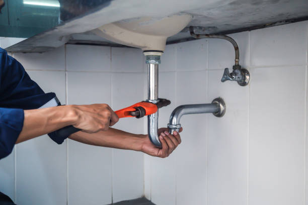 Best Local Plumber Services  in Denison, TX